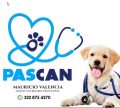 PASCAN PET VETERINARIA